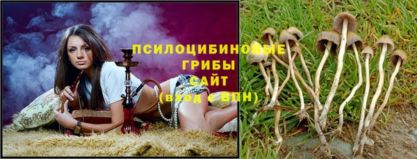 не бодяженный Балахна